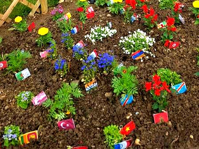 Plantations fleuries du jardin de l’école / Flowering plants in the school garden