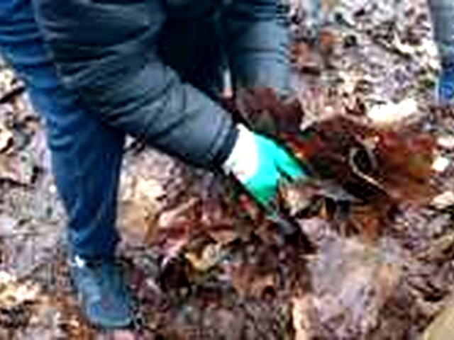 Défrichage du jardin de l’école / Clearing the school garden