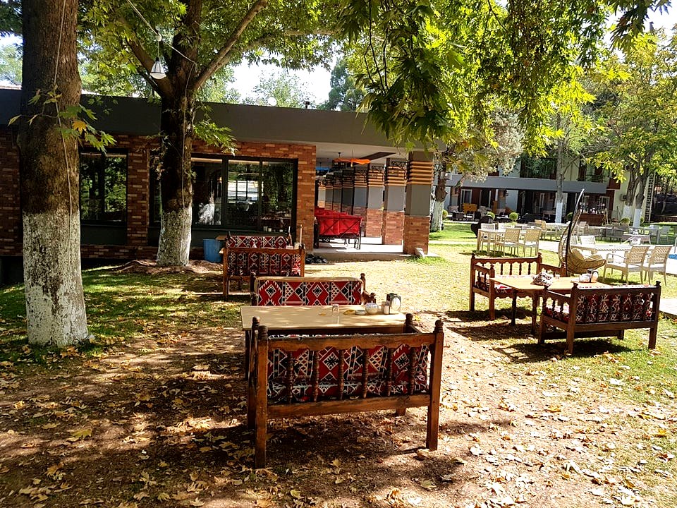 Cour arborée, Diyarbakır / Tree-lined courtyard, Diyarbakır
