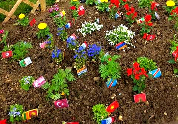Plantations fleuries du jardin de l’école / Flowering plants in the school garden
